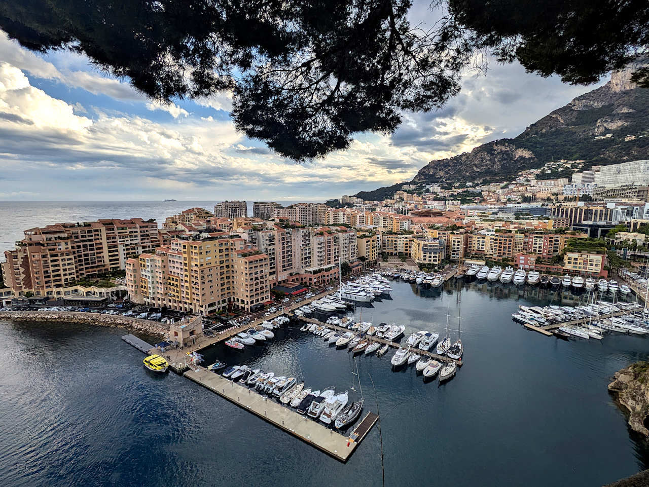 vue sur le port de Fontvieille