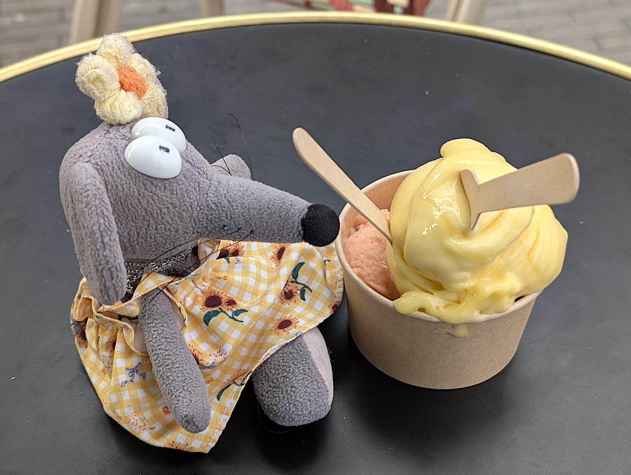 sorbets à l'Atelier gourmand à Dieppe
