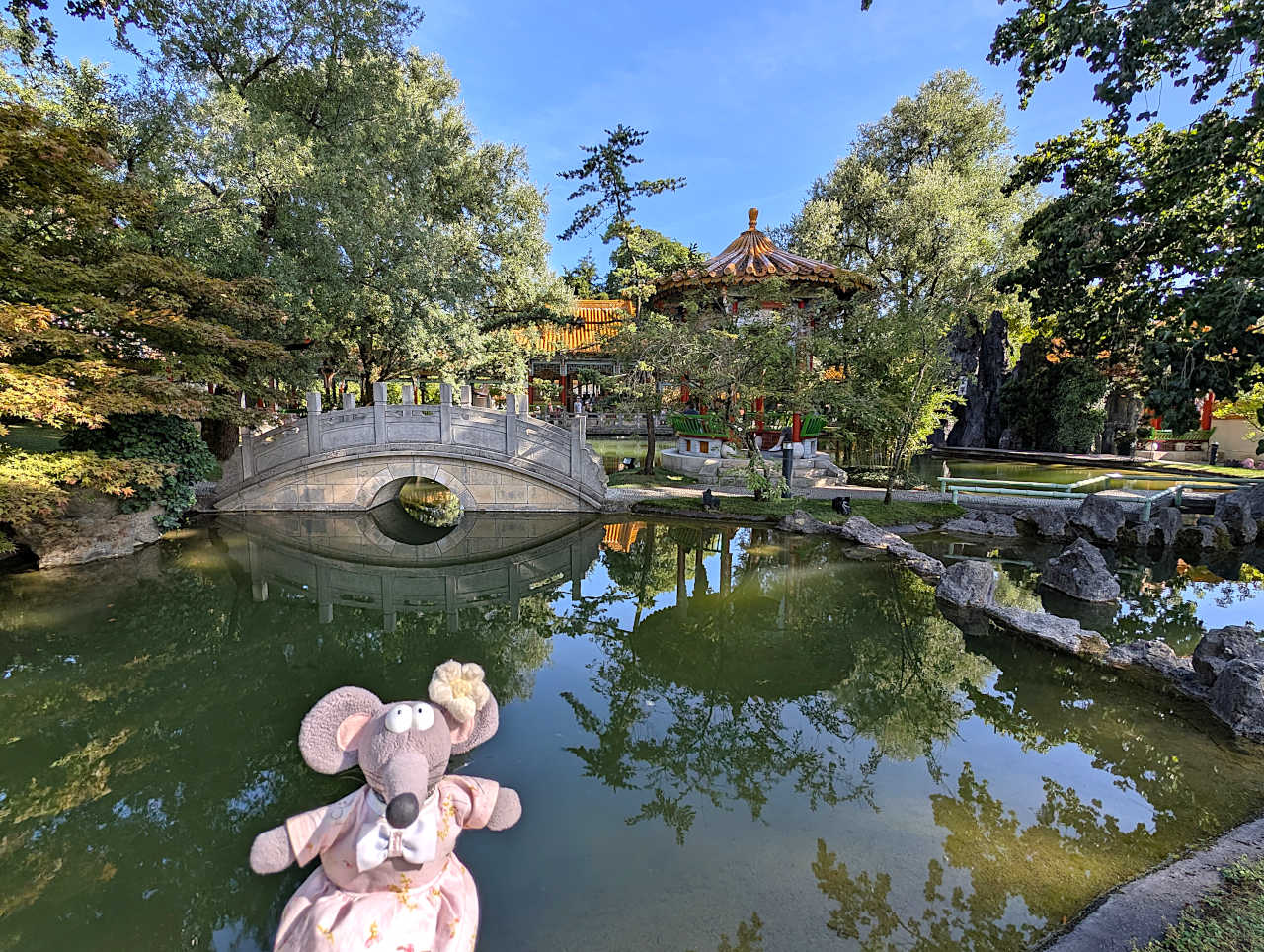 Jardin chinois de Zurich