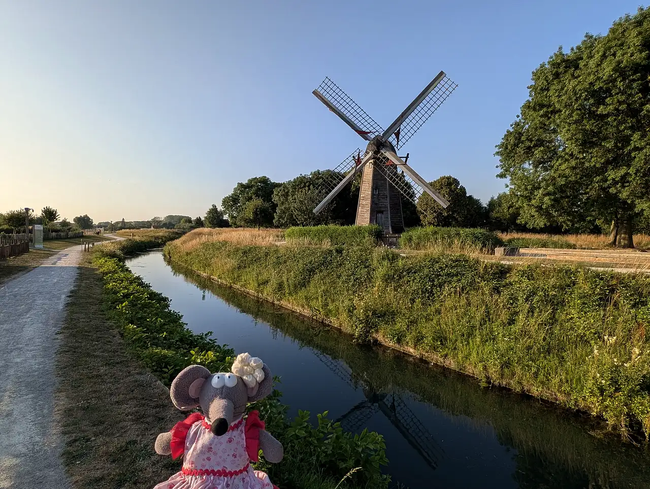 Marais audomarois et son moulin