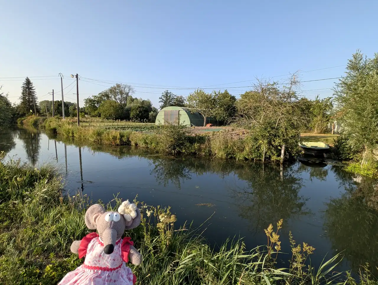 Marais audomarois