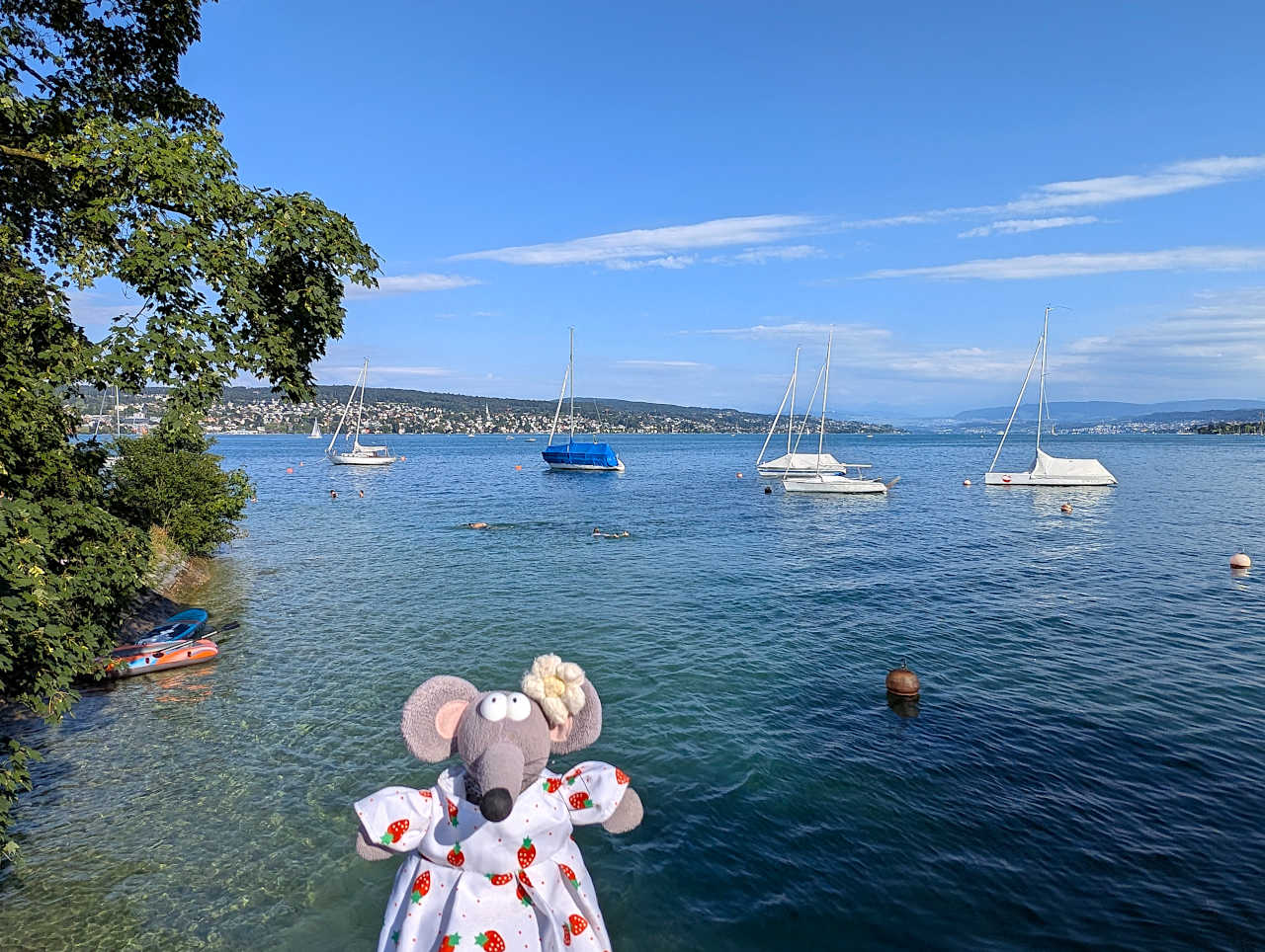 Mythenquai Zurich