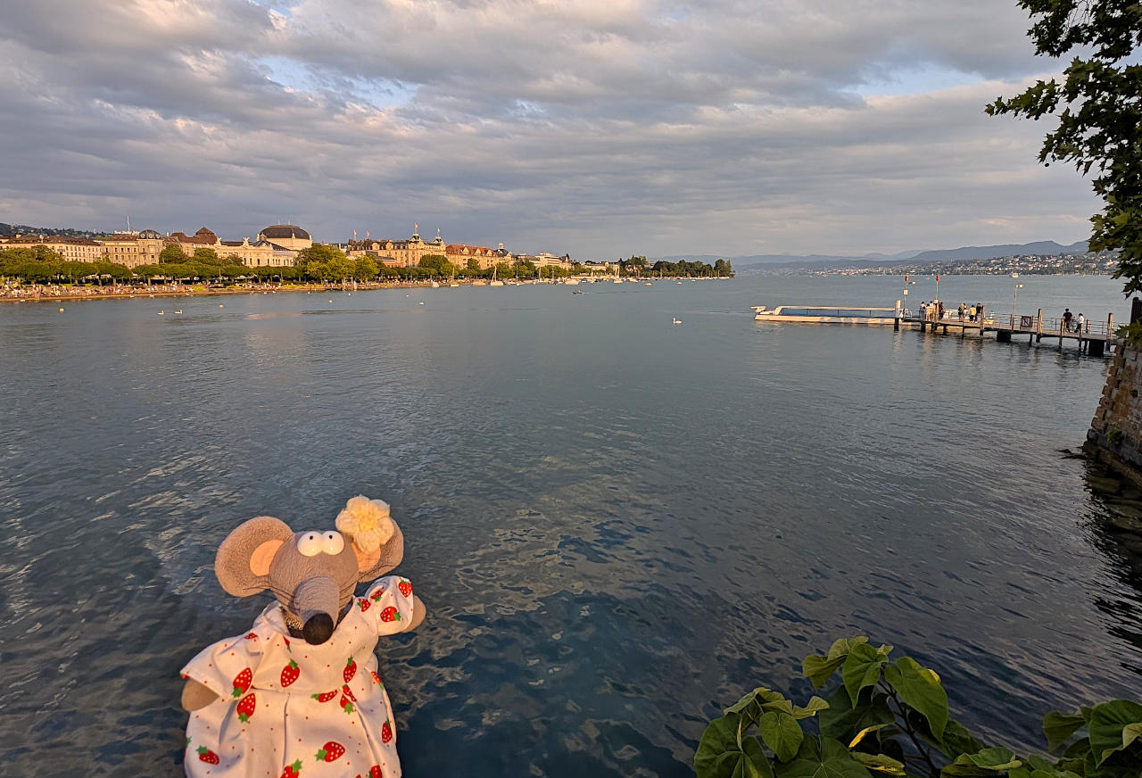 lac de Zurich vu depuis la Bürkliplatz