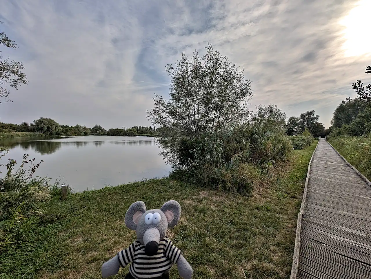 marais audomarois 4