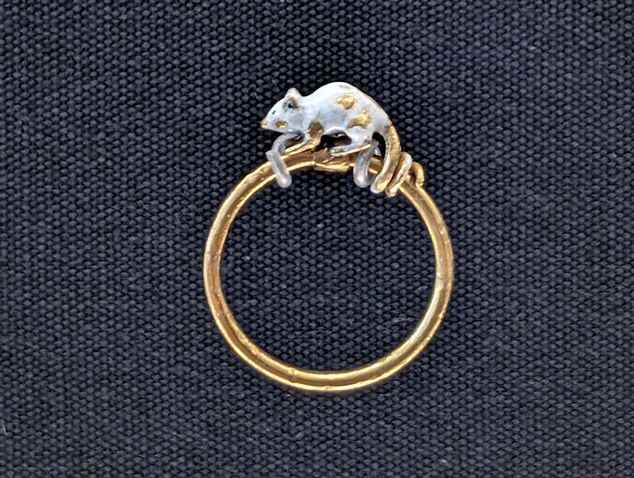 musée national suisse bague souris