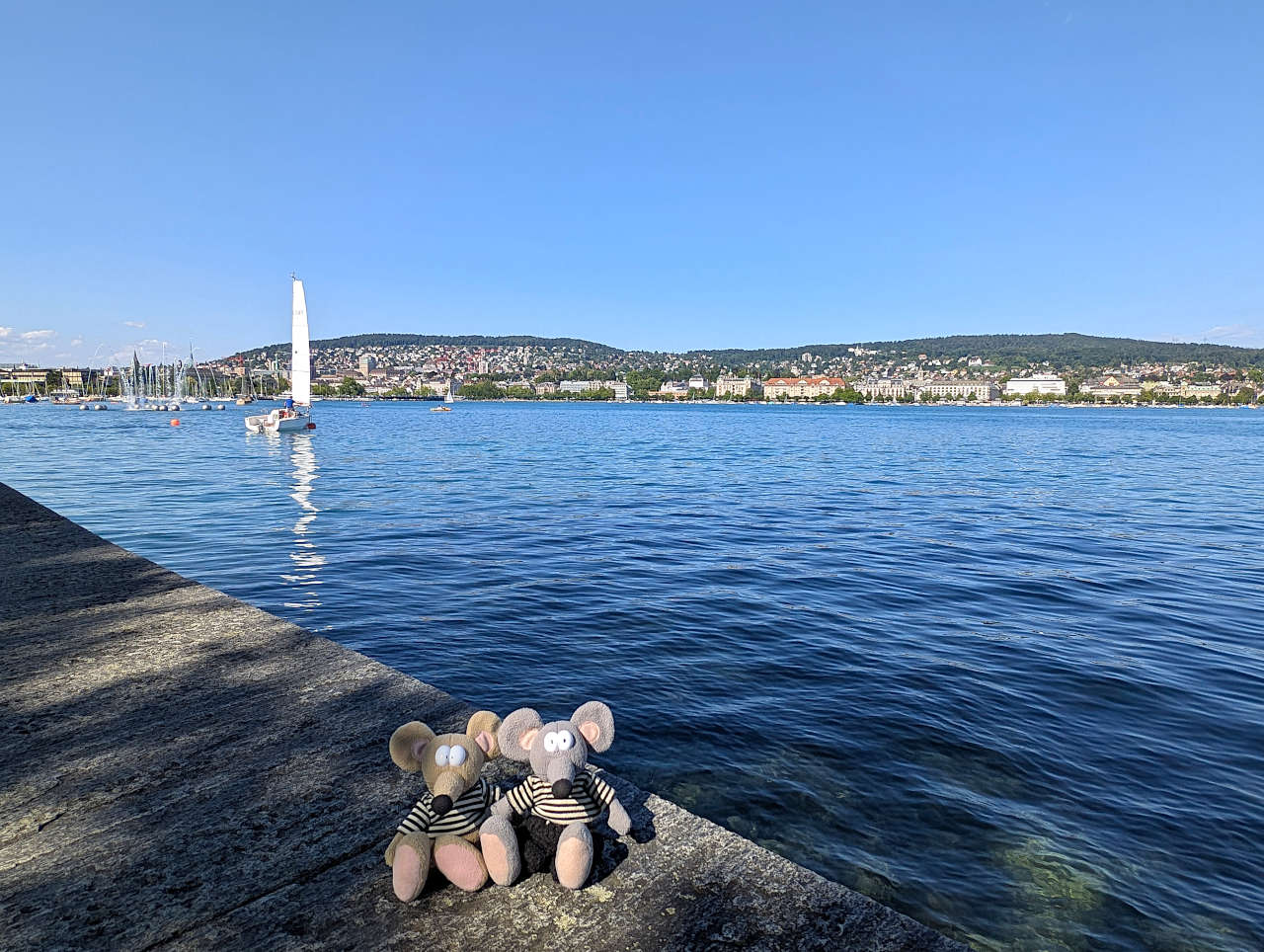 rives du lac de Zurich