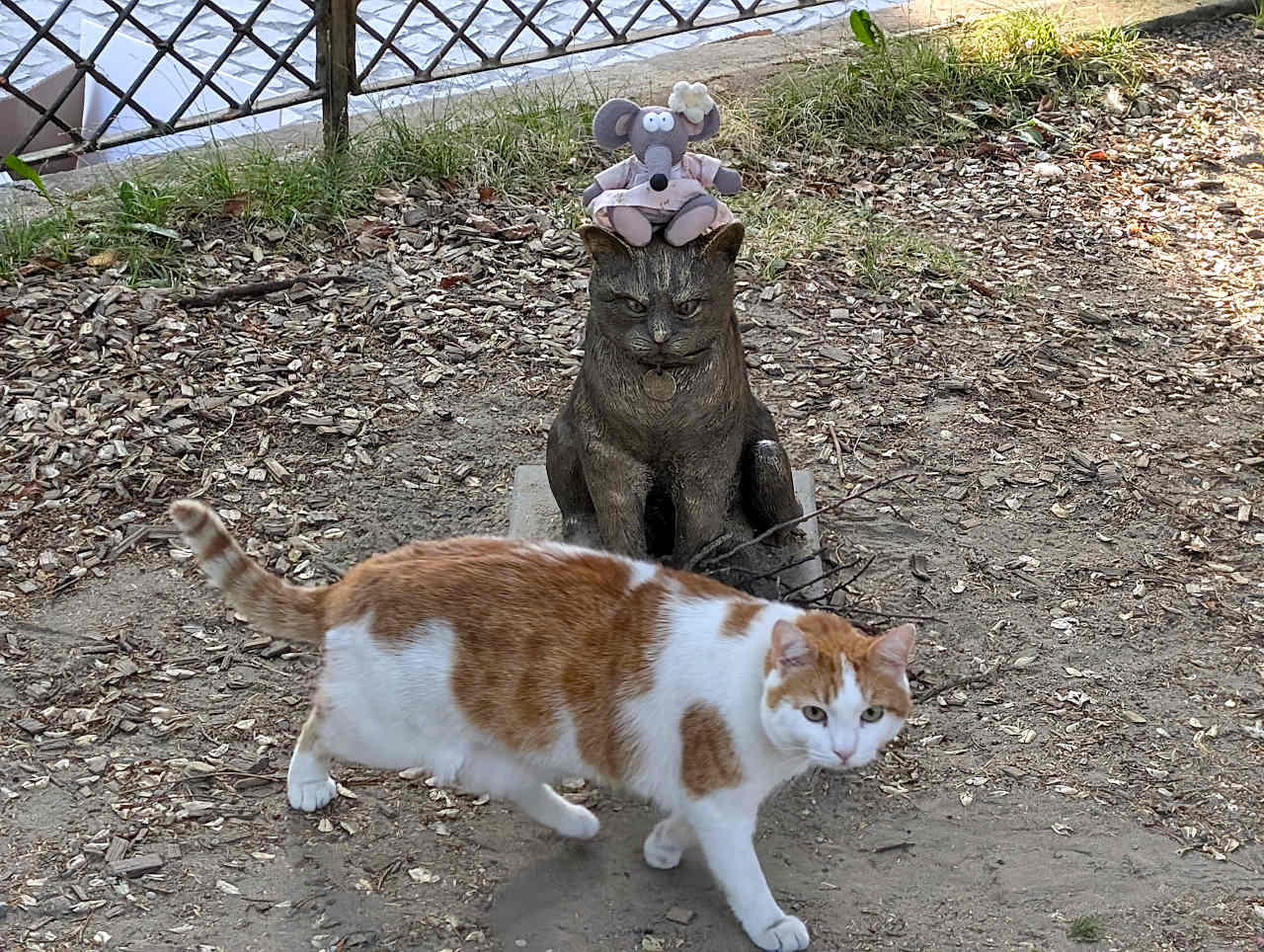 statue de chat à Zurich