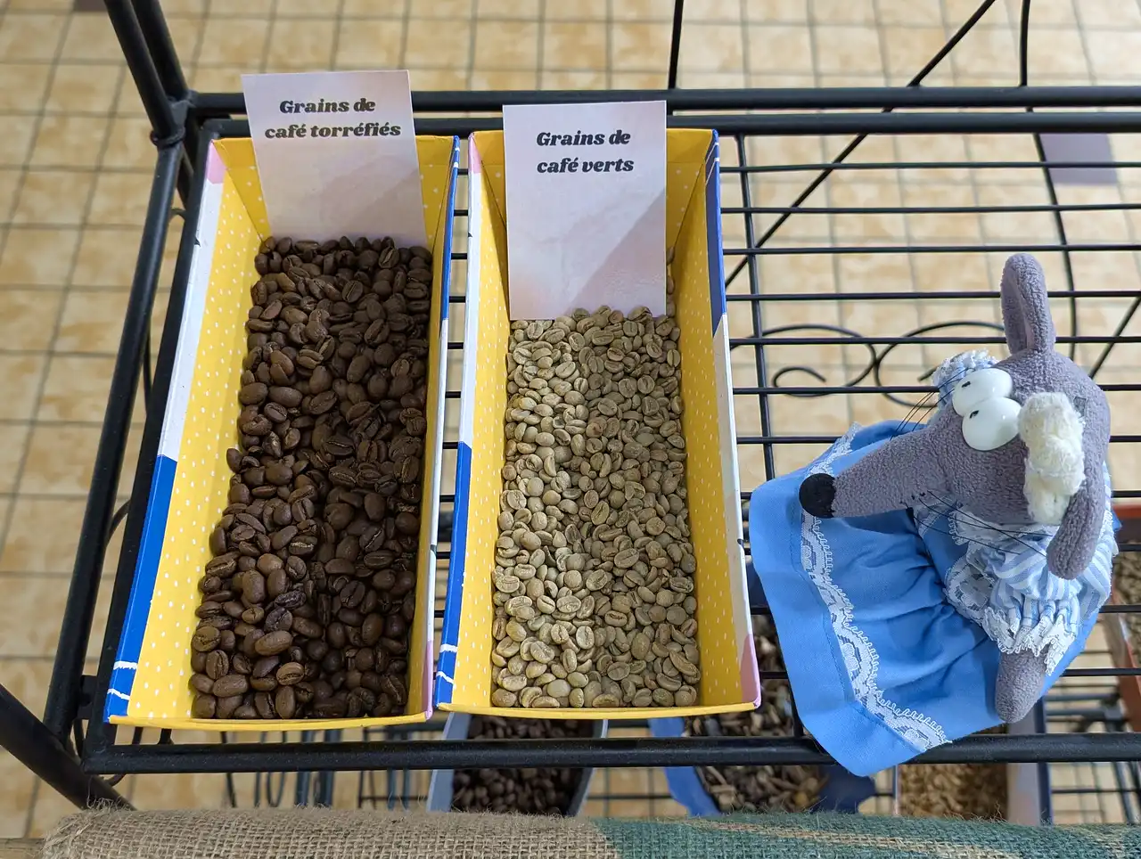 grains de café chez Didier Boulet