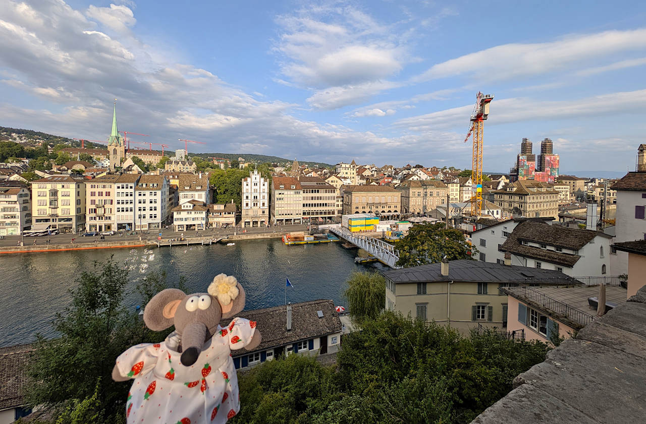 vue sur Zurich depuis le Lindenhof 2