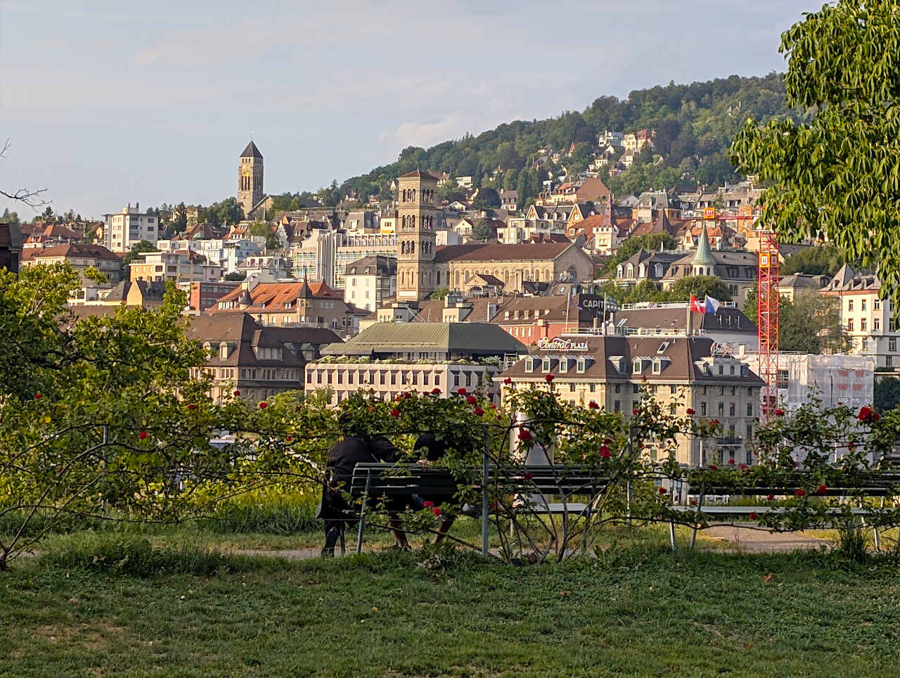 vue sur Zurich depuis le jardin sous la place Lindenhof