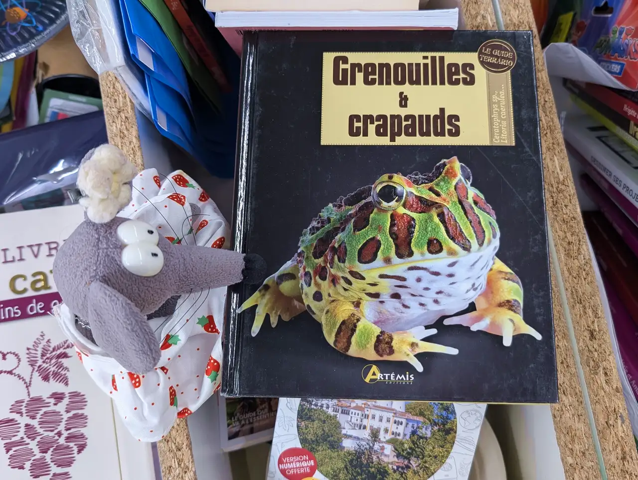 livre chez Noz