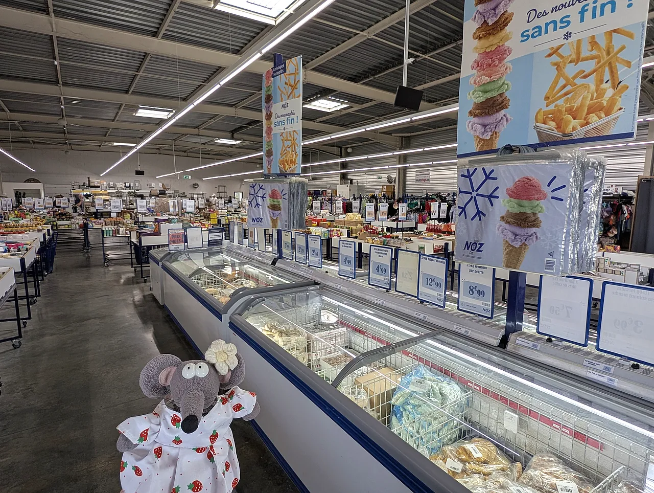 rayon surgelé chez Noz