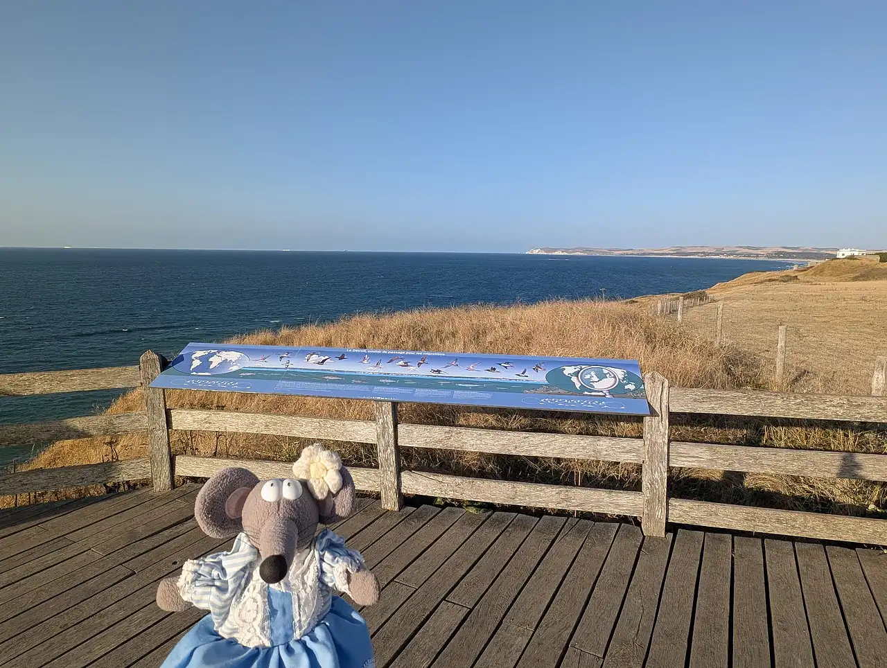 vue depuis le cap Gris Nez