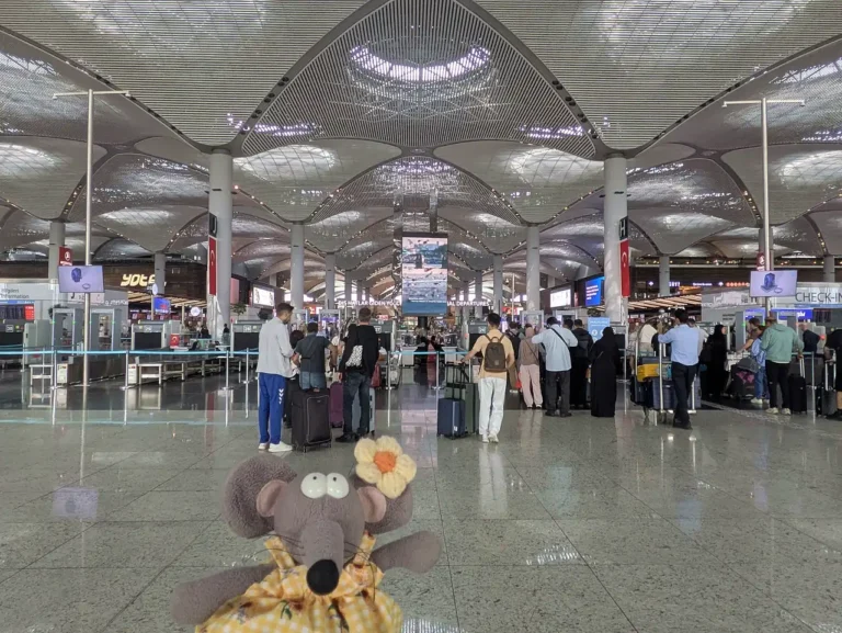 Aéroport d'Istanbul