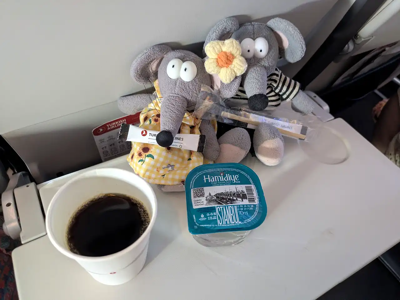 dans l'avion de Turkish Airlines