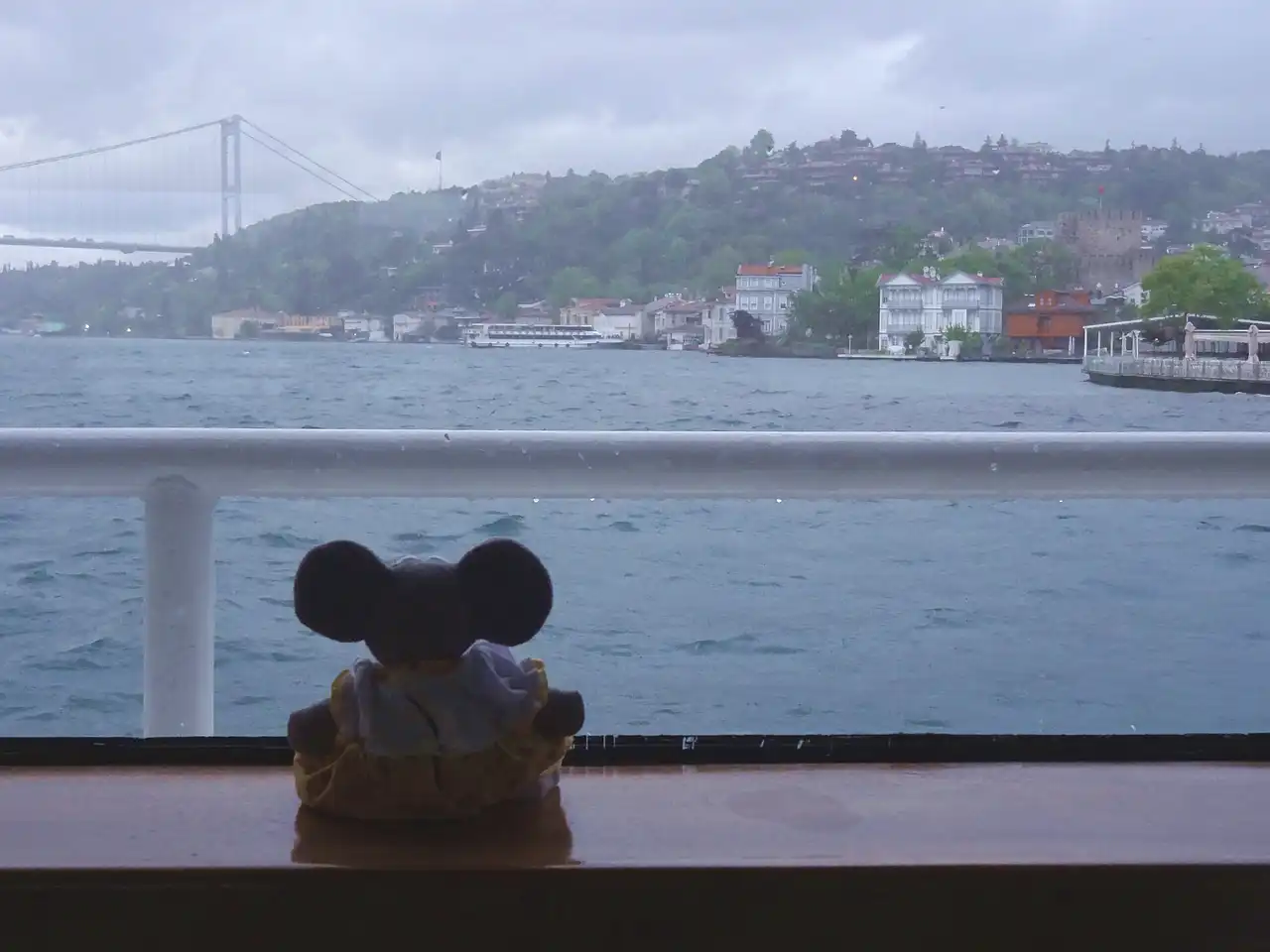 dans le bateau sur le Bosphore
