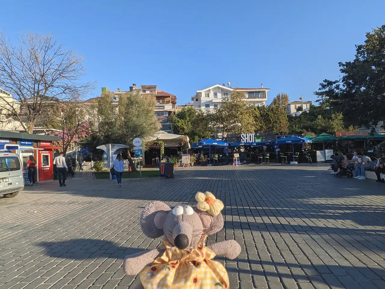 place en bord de mer à Büyükada