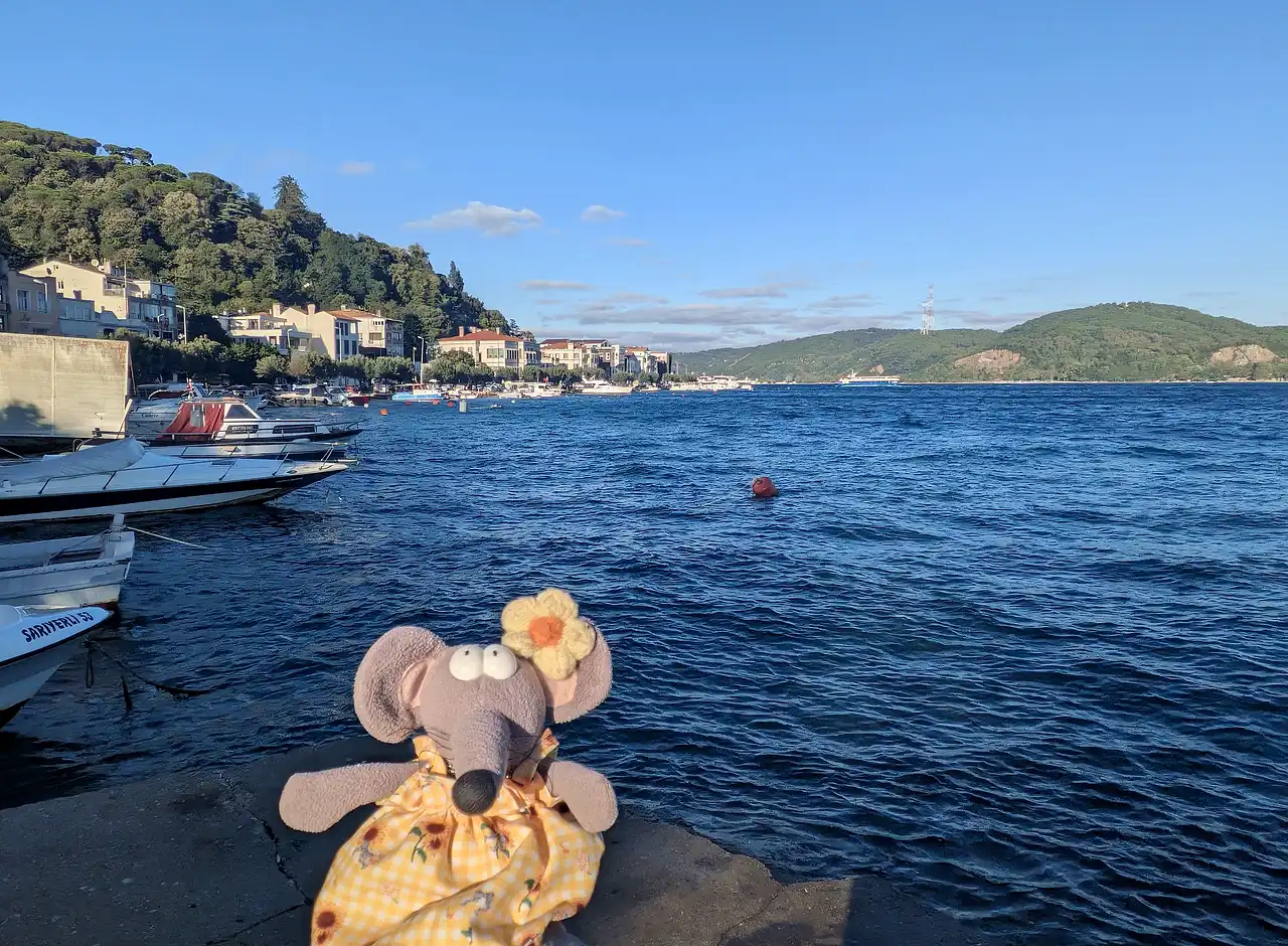 vue sur Sarıyer
